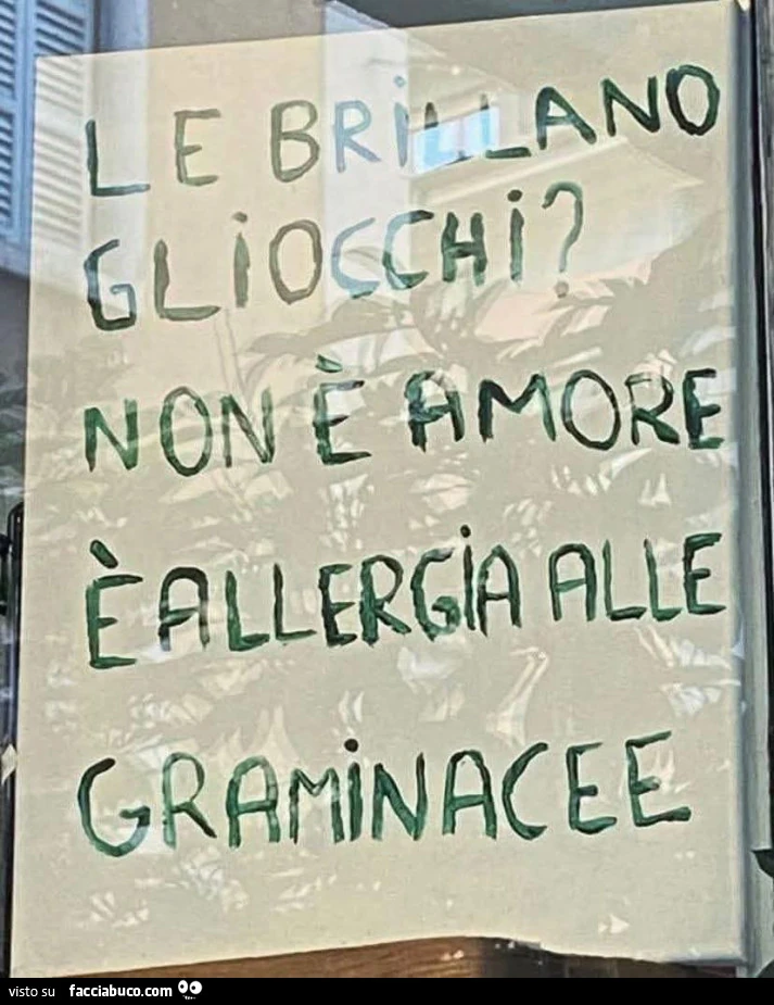 Allergia