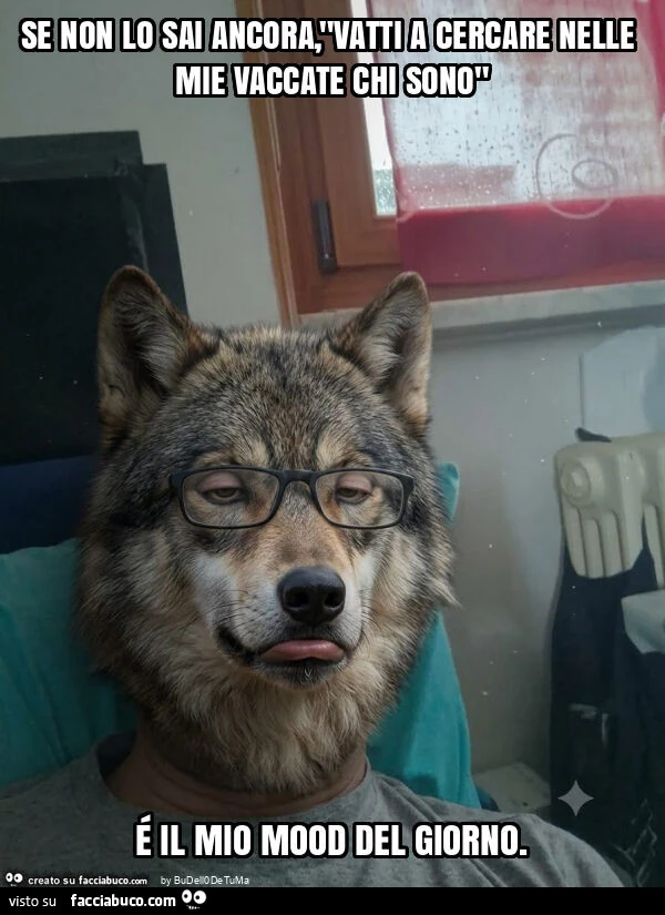 Se non lo sai ancora, "vatti a cercare nelle mie vaccate chi sono" é il mio mood del giorno