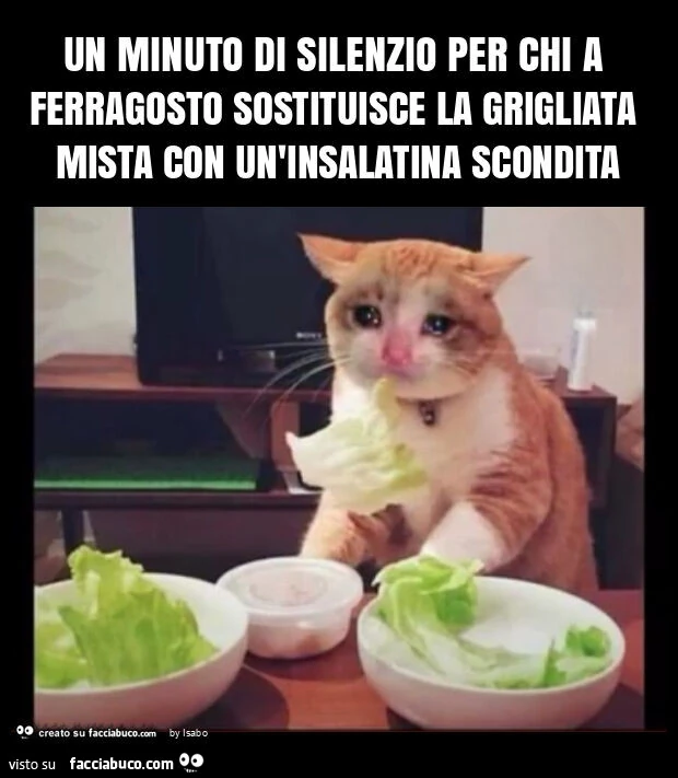 Un minuto di silenzio per chi a ferragosto sostituisce la grigliata mista con un'insalatina scondita