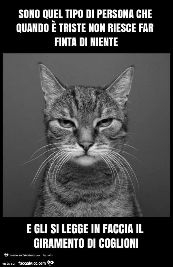 Sono quel tipo di persona che quando è triste non riesce far finta di niente e gli si legge in faccia il giramento di coglioni