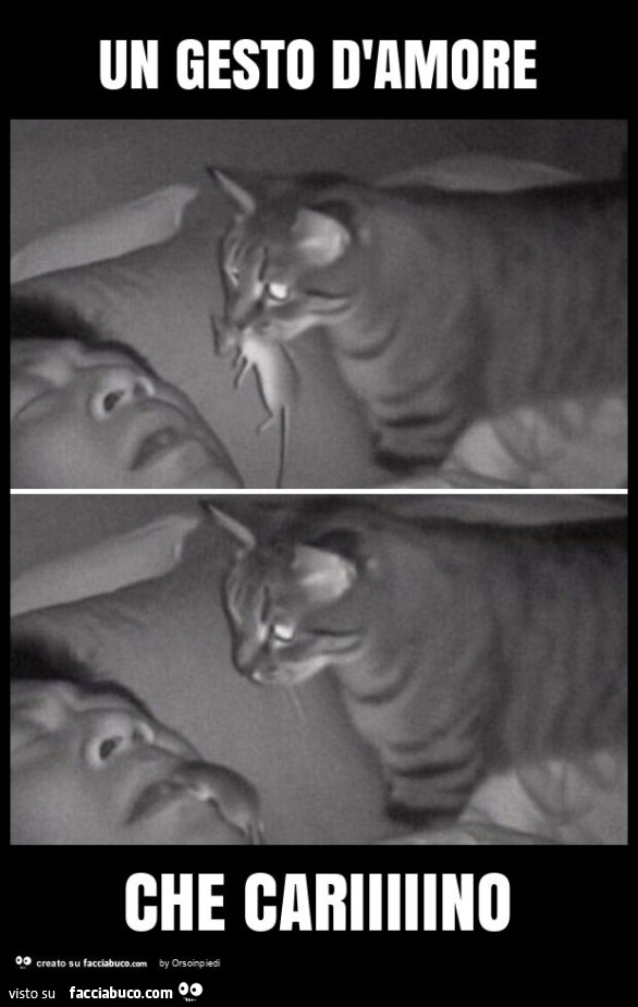 Un gesto d'amore che cariiiiino