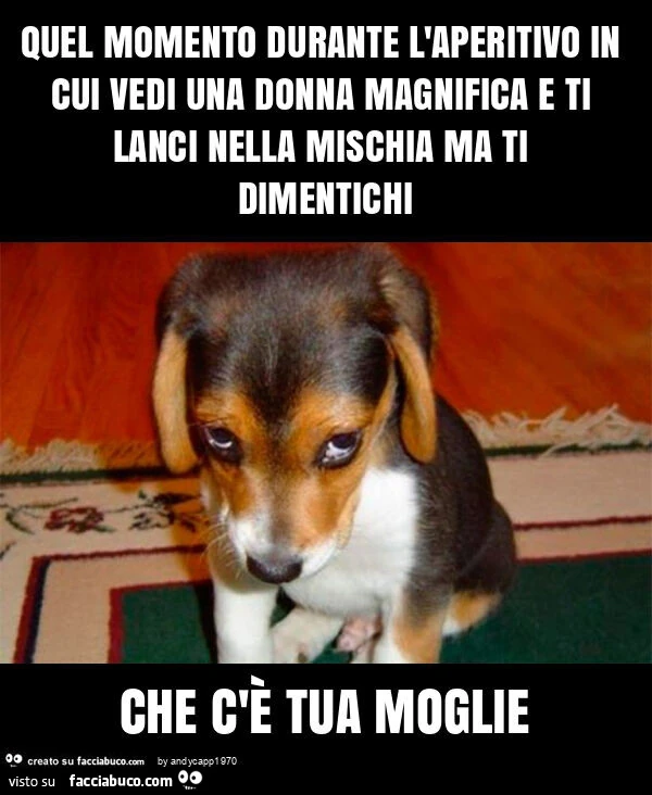 Quel momento durante l'aperitivo in cui vedi una donna magnifica e ti lanci nella mischia ma ti dimentichi che c'è tua moglie