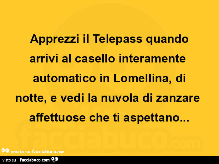 Apprezzi il telepass quando arrivi al casello interamente automatico in lomellina, di notte, e vedi la nuvola di zanzare affettuose che ti aspettano