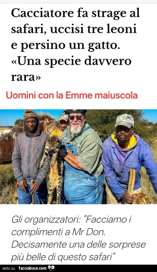 Vaccata