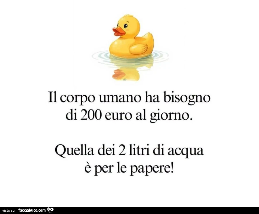 Il corpo umano ha bisogno di 200 euro al giorno. Quella dei 2 litri di acqua è per le papere
