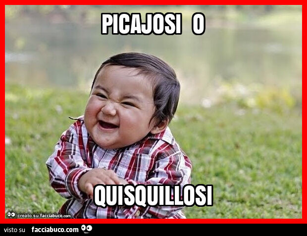 Picajosi o quisquillosi