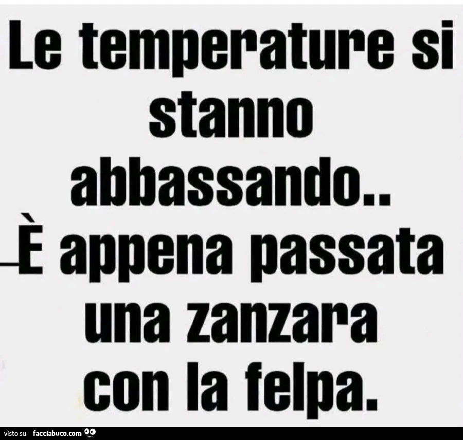Zanzare