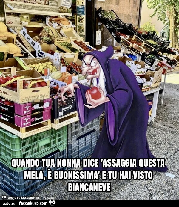 Vaccata