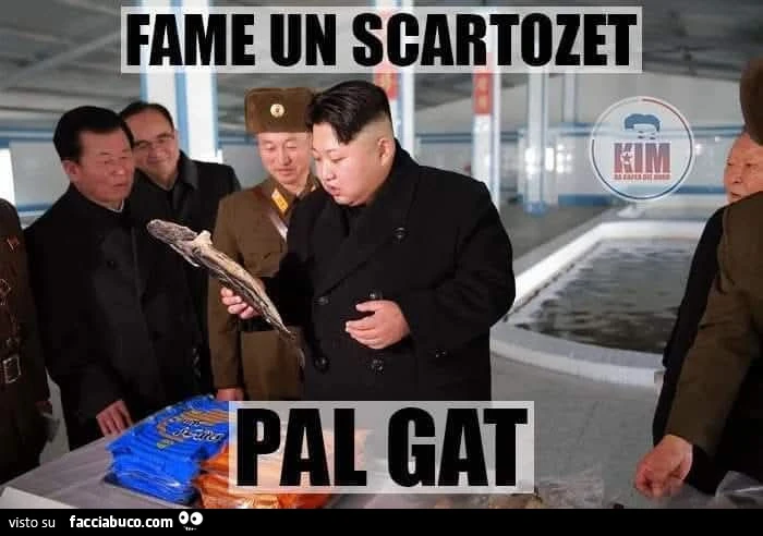 Vaccata