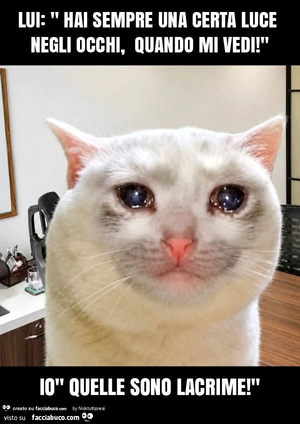 Lui: " hai sempre una certa luce negli occhi, quando mi vedi! " Io" quelle sono lacrime! "