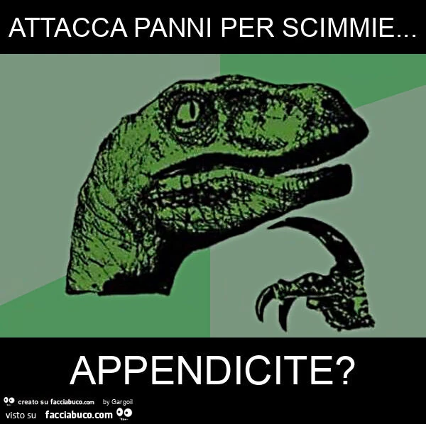 Attacca panni per scimmie&hellip; appendicite?