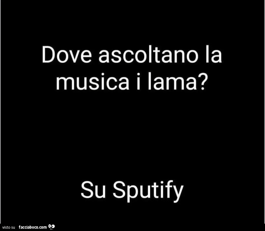 Dove ascoltano la musica i lama? Su sputify