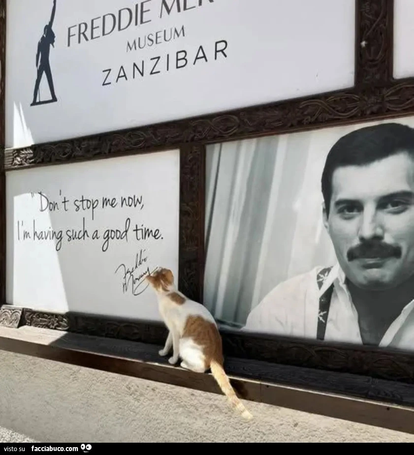Freddie