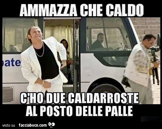 Vaccata
