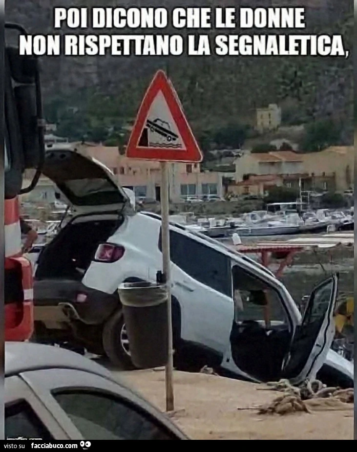 Donne al volante