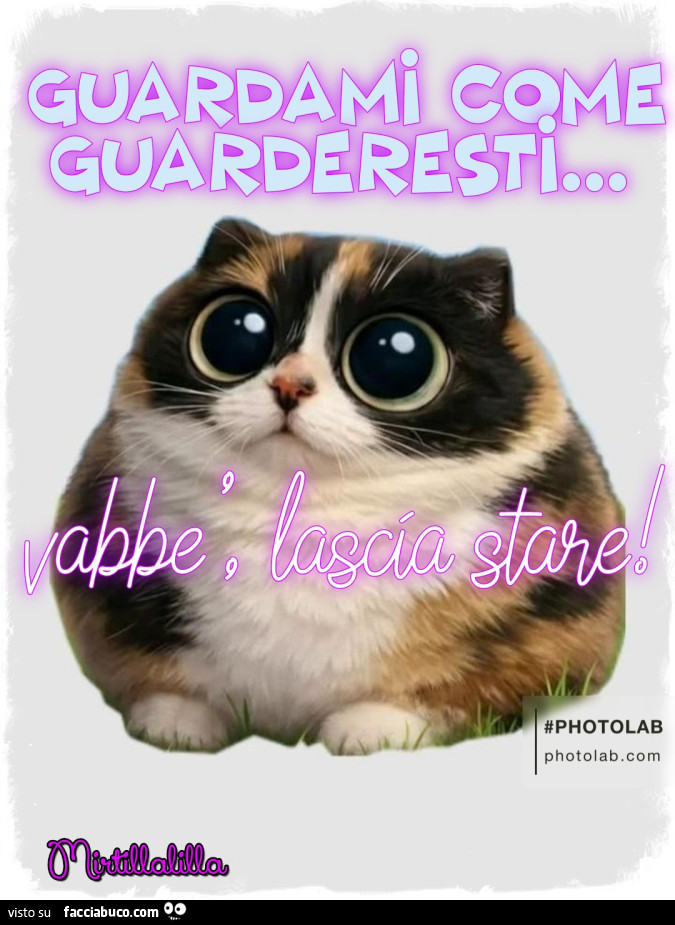 Guardami come