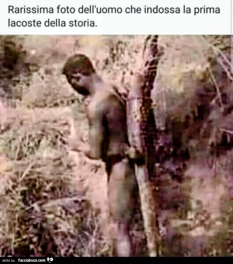 Moda