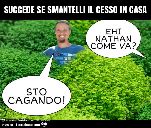 Succede se smantelli il cesso in casa