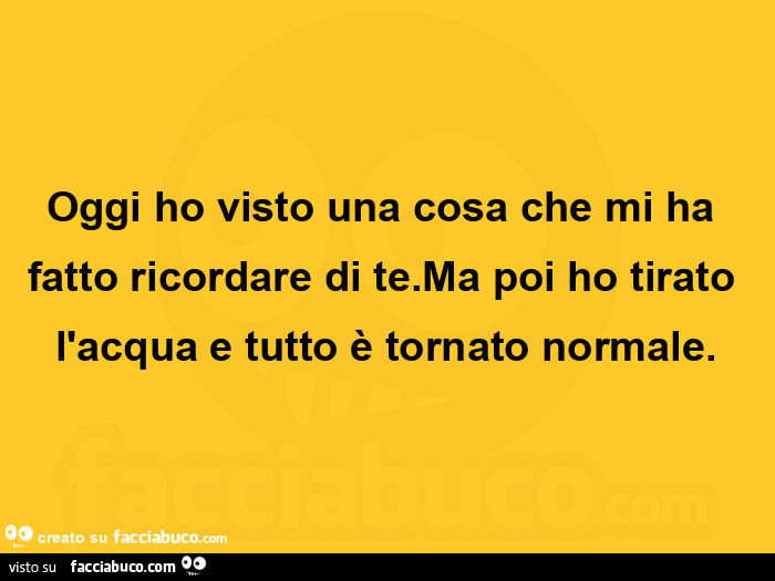 Oggi ho visto una cosa che mi ha fatto ricordare di te. Ma poi ho tirato l'acqua e tutto è tornato normale