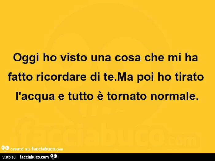 Oggi ho visto una cosa che mi ha fatto ricordare di te. Ma poi ho tirato l'acqua e tutto è tornato normale