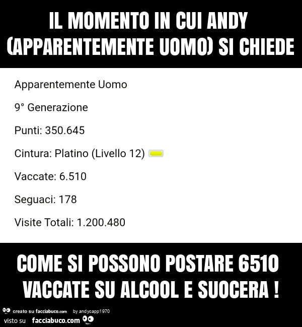 Il momento in cui andy (apparentemente uomo) si chiede come si possono postare 6510 vaccate su alcool e suocera