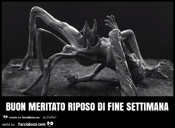 Buon meritato riposo di fine settimana