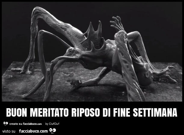 Buon meritato riposo di fine settimana