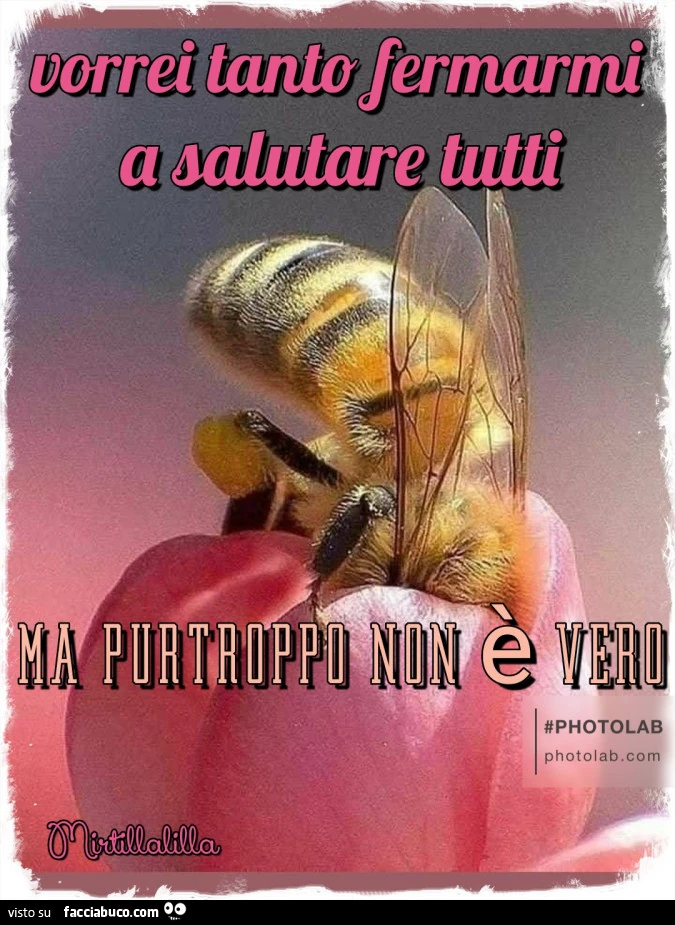 Purtroppo non è vero