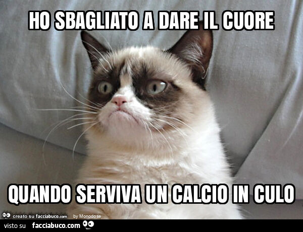 Ho sbagliato a dare il cuore quando serviva un calcio in culo