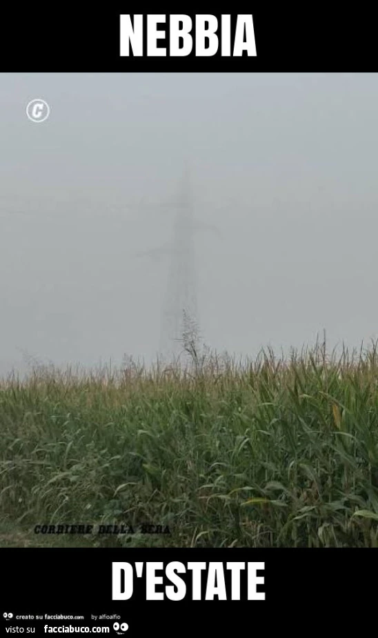 Nebbia d'estate