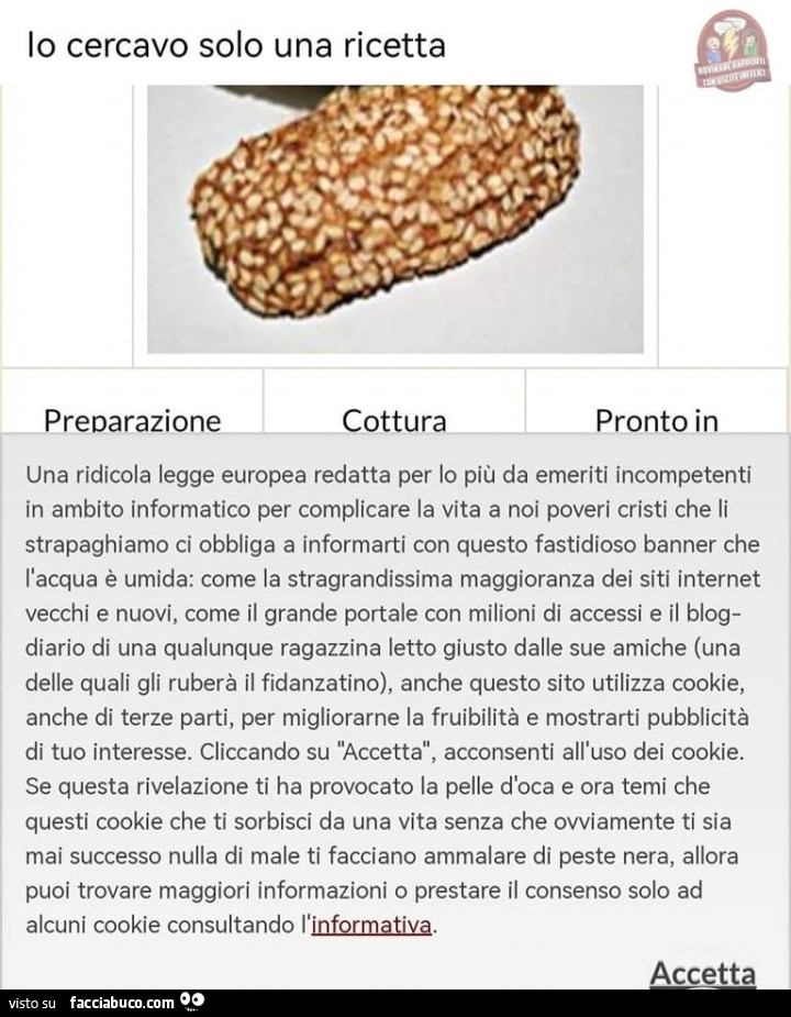 Io cercavo solo una ricetta. Una ridicola legge europea redatta per io più da emeriti incompetenti in ambito informatico per complicare la vita a noi poveri cristi che li strapaghiamo ci obbliga a informarti con questo fastidioso banner