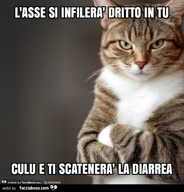 Vaccata