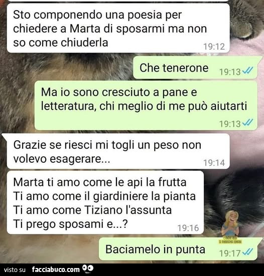 Vaccata