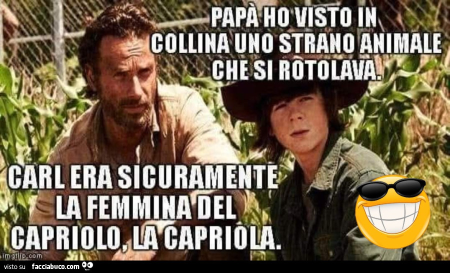 Vaccata