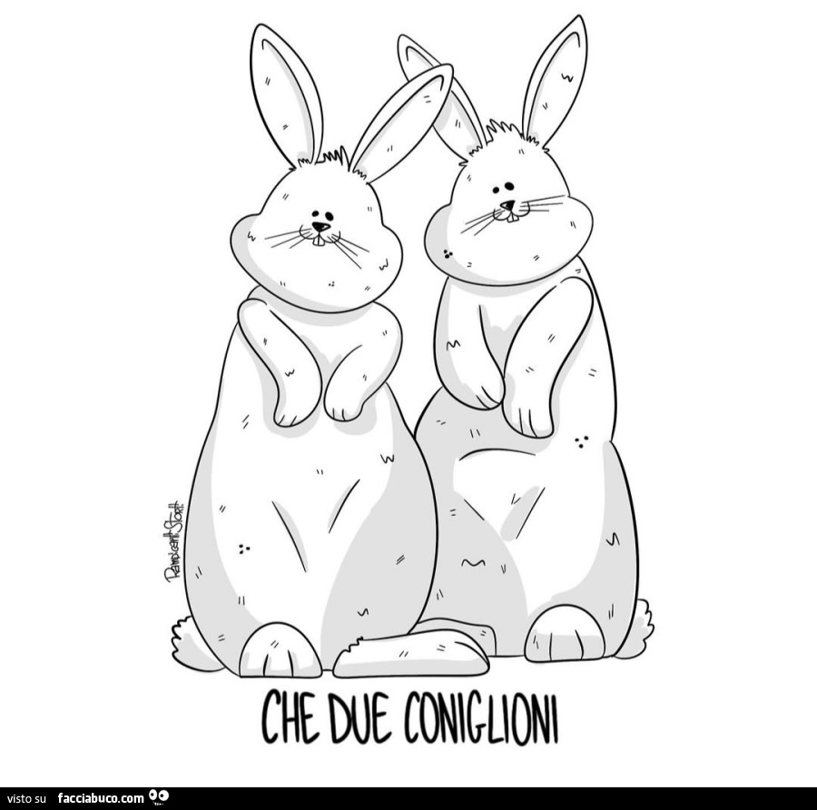 Che due coniglioni