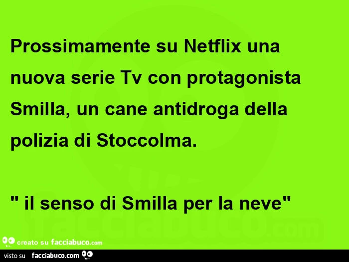 Prossimamente su Netflix una nuova serie Tv con protagonista Smilla, un cane antidroga della polizia di Stoccolma. Il senso di Smilla per la neve