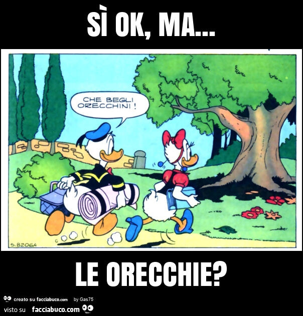 Sì ok, ma&hellip; le orecchie?