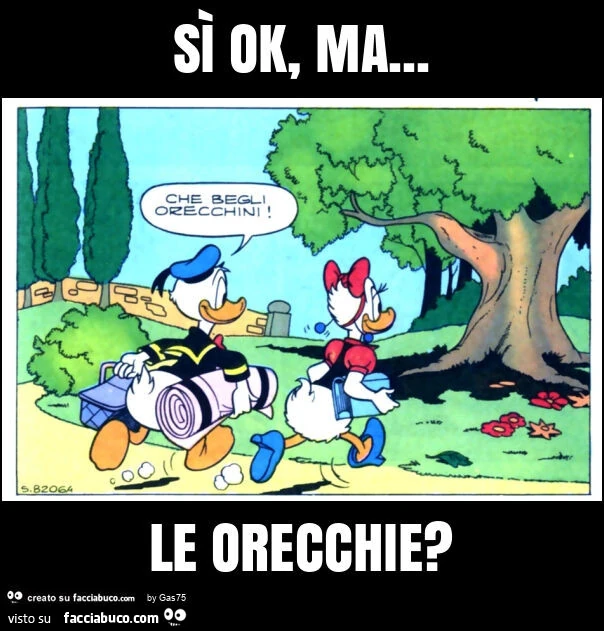 Sì ok, ma&hellip; le orecchie?
