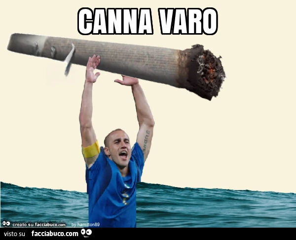 Canna varo