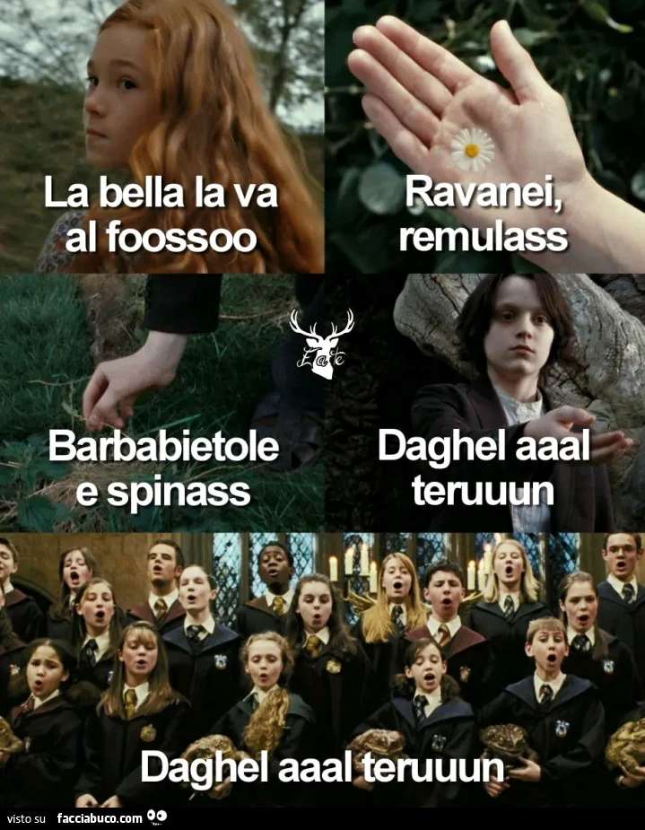 Vaccata