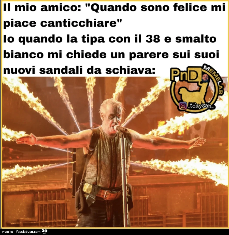 Vaccata