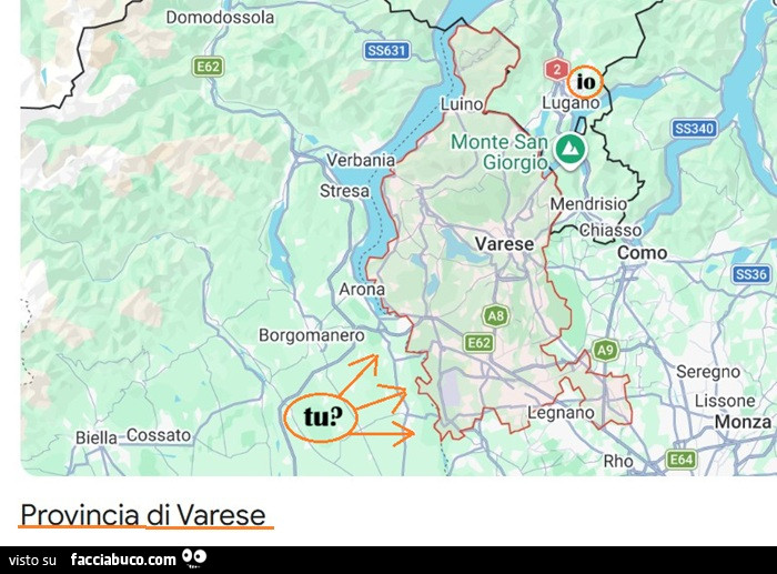 Vaccata