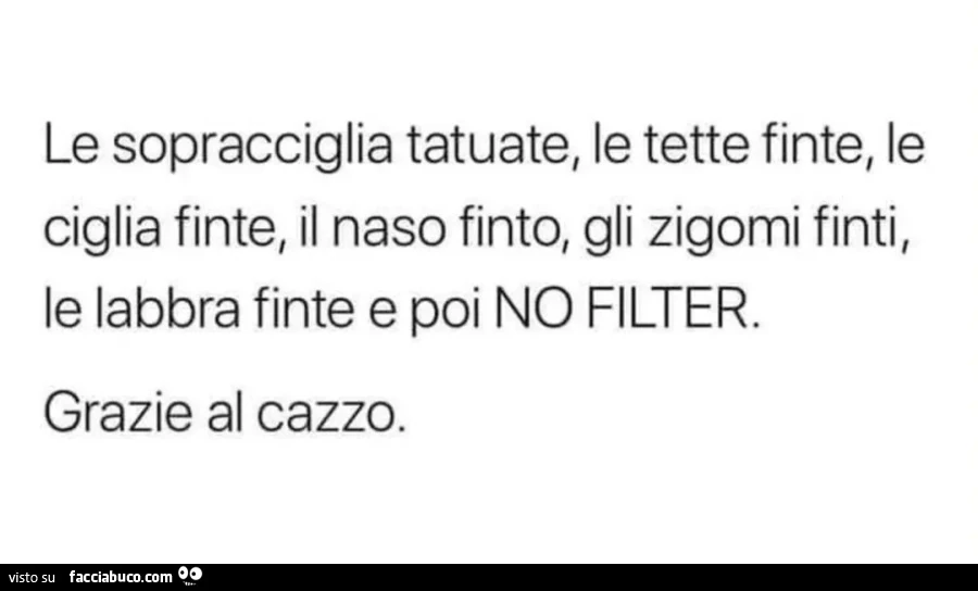 Le sopracciglia tatuate, le tette finte, le ciglia finte, il naso finto, gli zigomi finti, labbra finte e poi NO FILTER Grazie al cazzo
