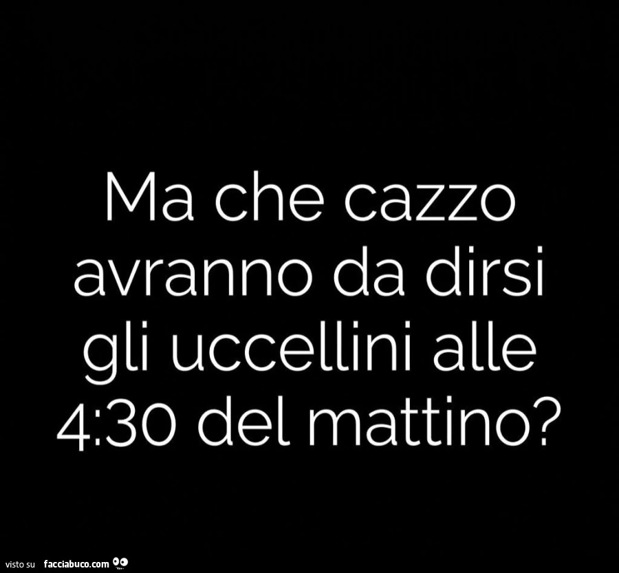 Ma che cazzo avranno da dirsi gli uccellini alle 4: 30 del mattino?