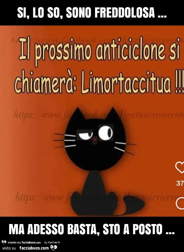 Si, lo so, sono freddolosa&hellip; ma adesso basta, sto a posto