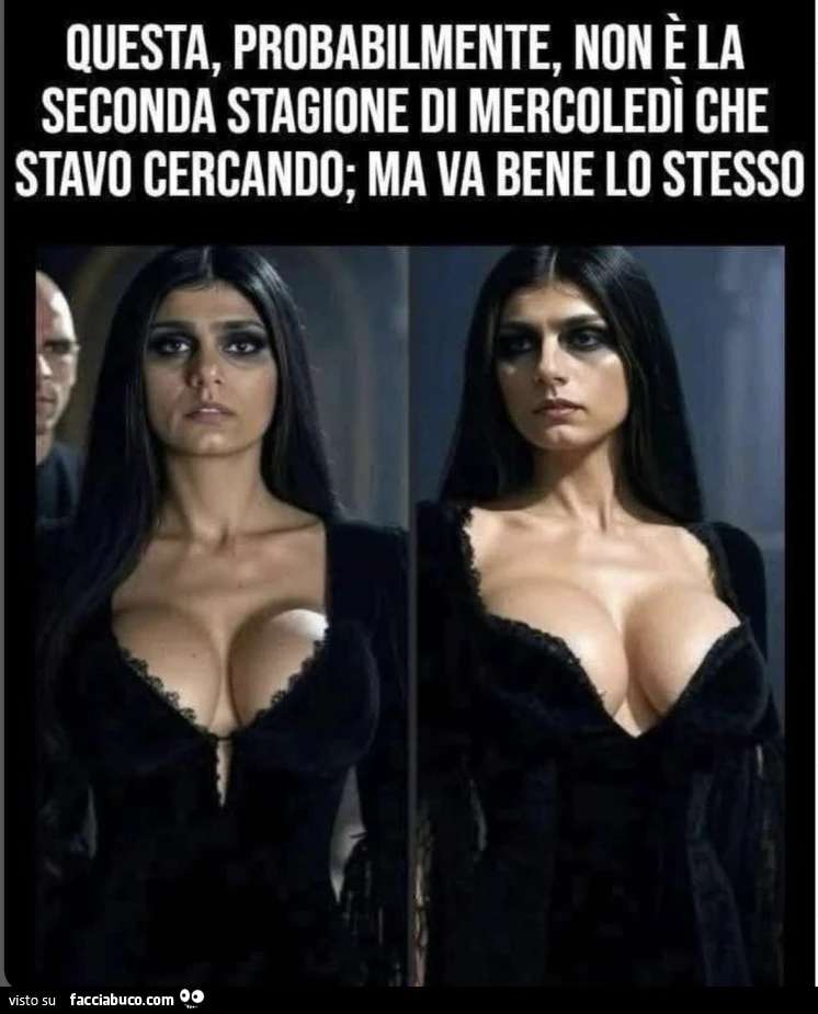 Vaccata