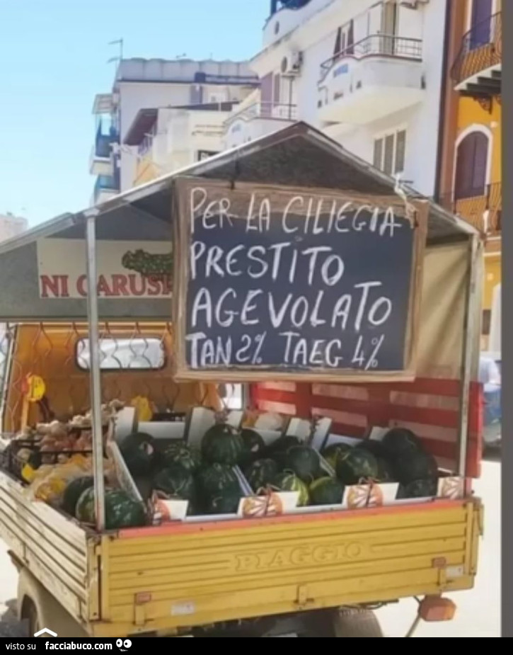 Vaccata