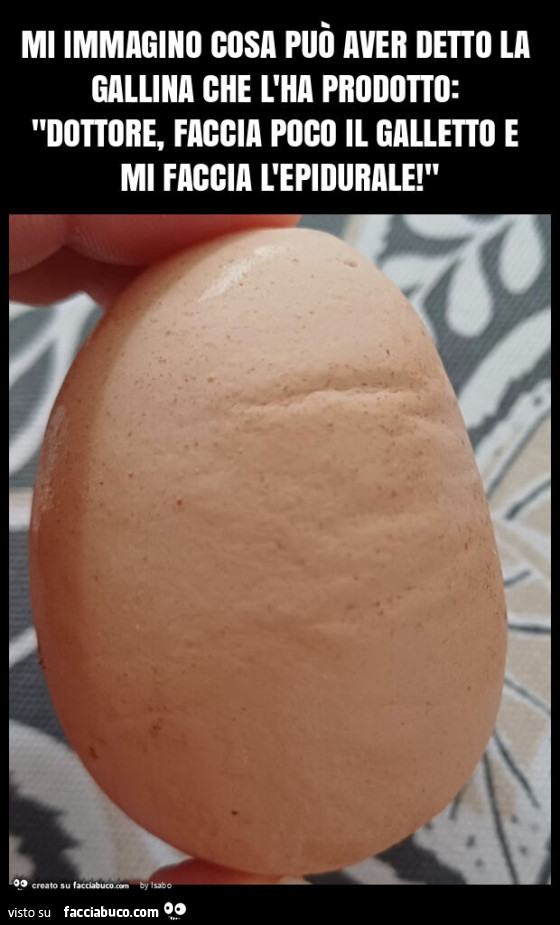 Mi immagino cosa può aver detto la gallina che l'ha prodotto: "dottore, faccia poco il galletto e mi faccia l'epidurale! "