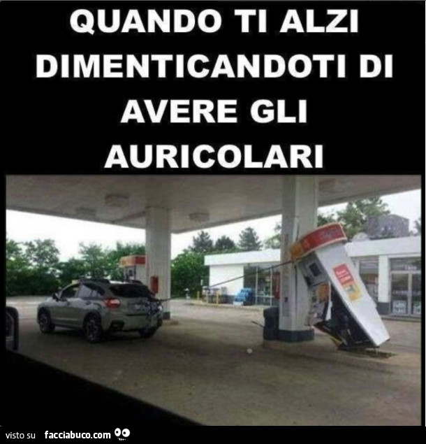 Vaccata