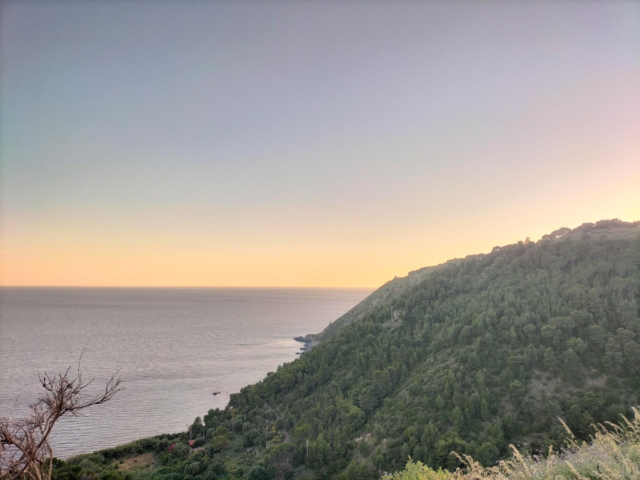 Mare